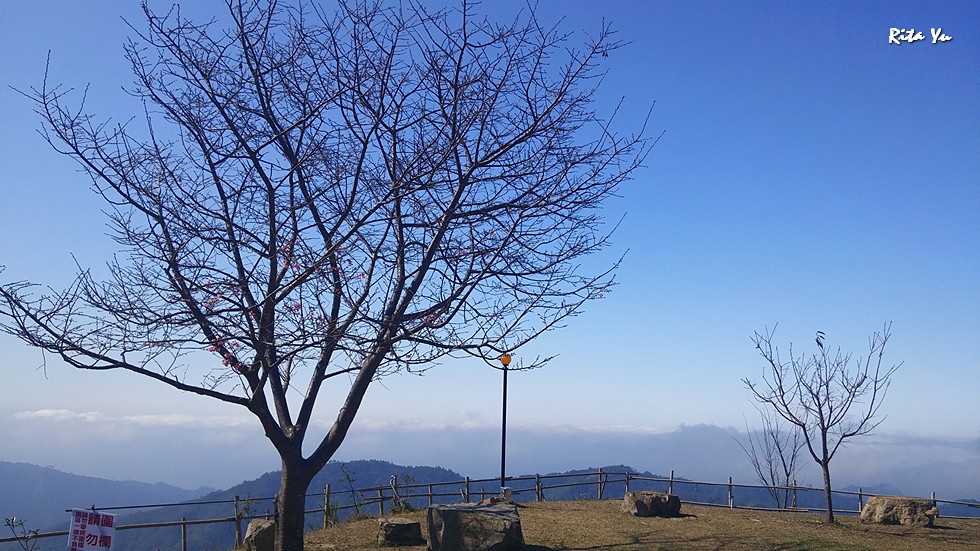 http://i.dcview.tw/gallery/201503/9caef828e39c1182d045238f9b5359b1.jpg