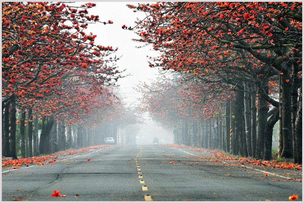 http://i.dcview.tw/gallery/201503/a7fb9319fee92e22d4482446d3a4df28.jpg