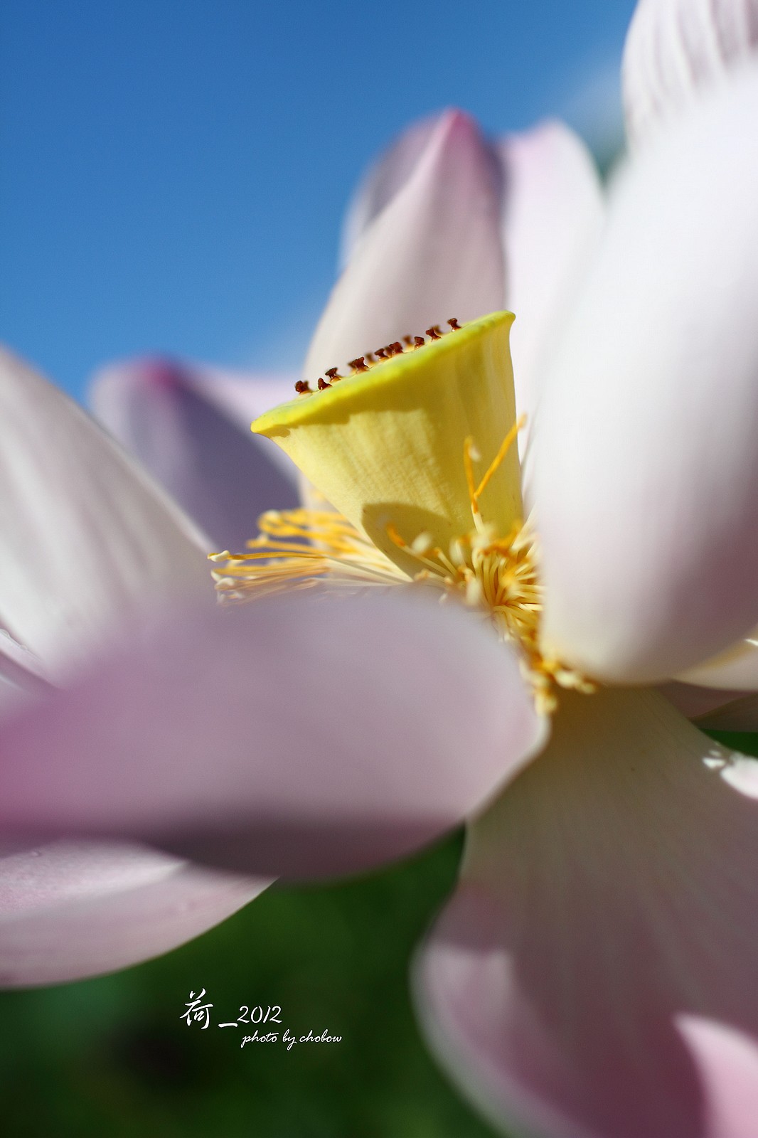 http://i.dcview.tw/gallery/201503/aa69799bed4f9e8bea8fd857a3b0d291.jpg