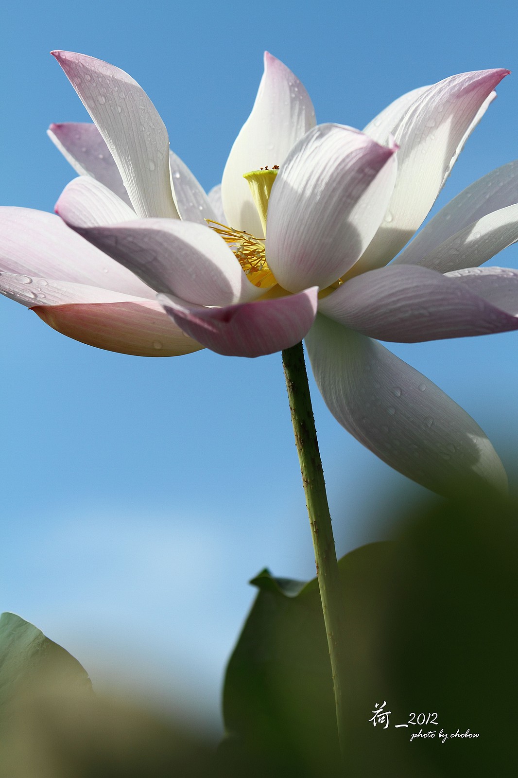 http://i.dcview.tw/gallery/201503/af4df29ee580fb1a8c538a25972d3566.jpg
