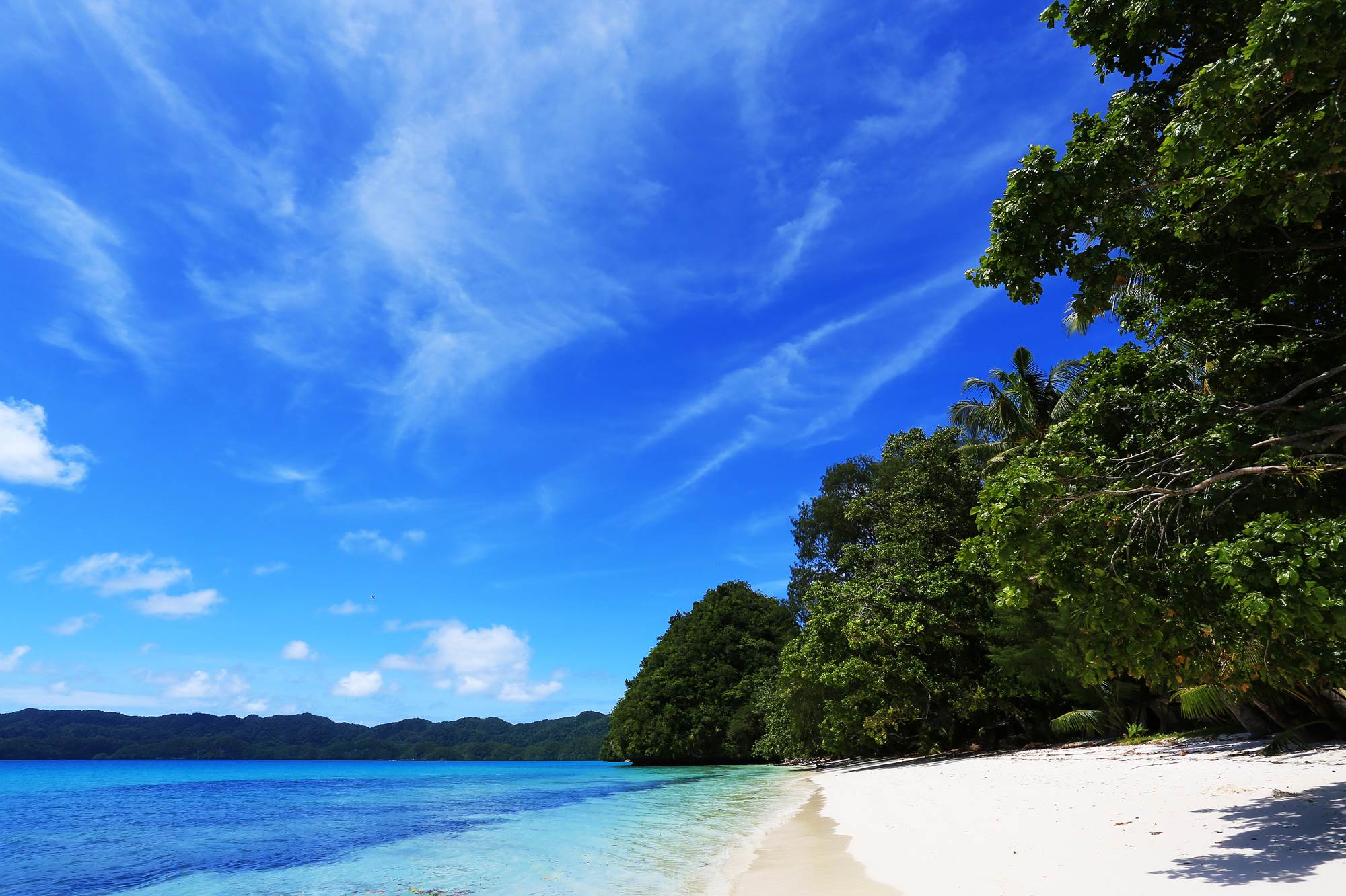 http://i.dcview.tw/gallery/201503/b8a16ab225d0bd012bc521e71db5dbf1.jpg