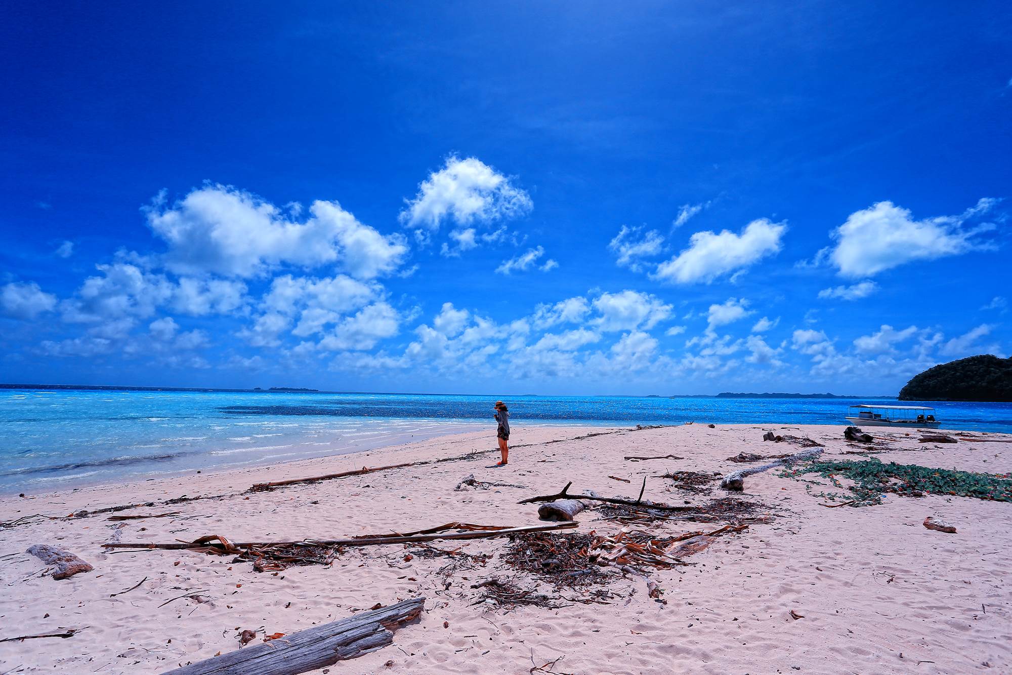 http://i.dcview.tw/gallery/201503/c2594a16d01622b04356ed87d5101a30.jpg