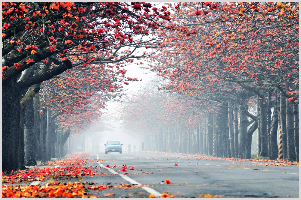 http://i.dcview.tw/gallery/201503/da799e38c452fe12379579d62b7d0d9c.jpg