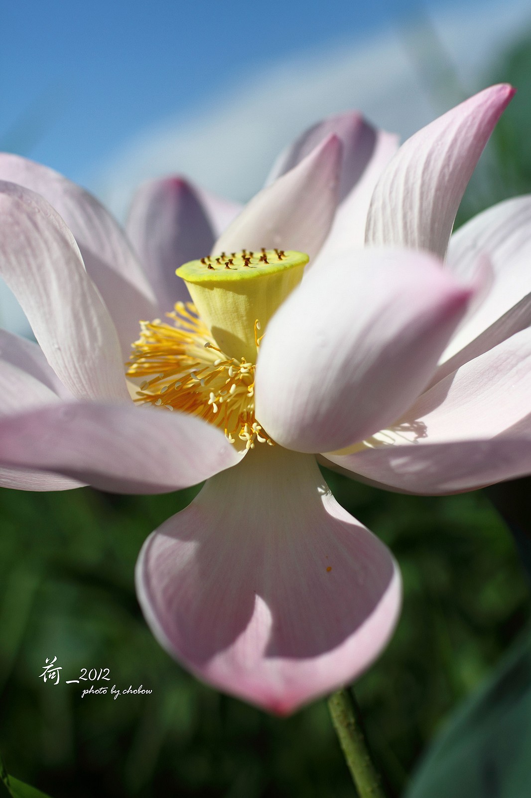 http://i.dcview.tw/gallery/201503/dc9e6d32eb762e607d32e99e140d8b65.jpg