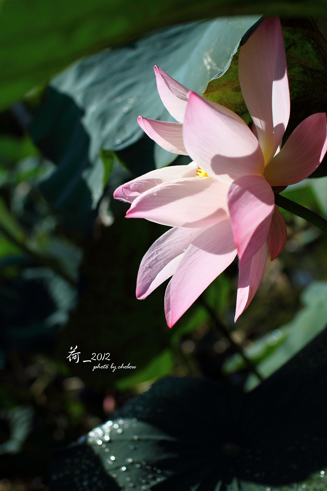 http://i.dcview.tw/gallery/201503/e4e14d89cbb906b2f95a5aeae5d1eb34.jpg