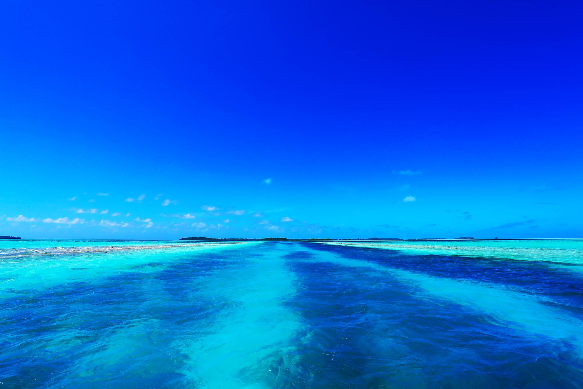 http://i.dcview.tw/gallery/201503/e68d035e0bb54468fc5454634df75a75.jpg