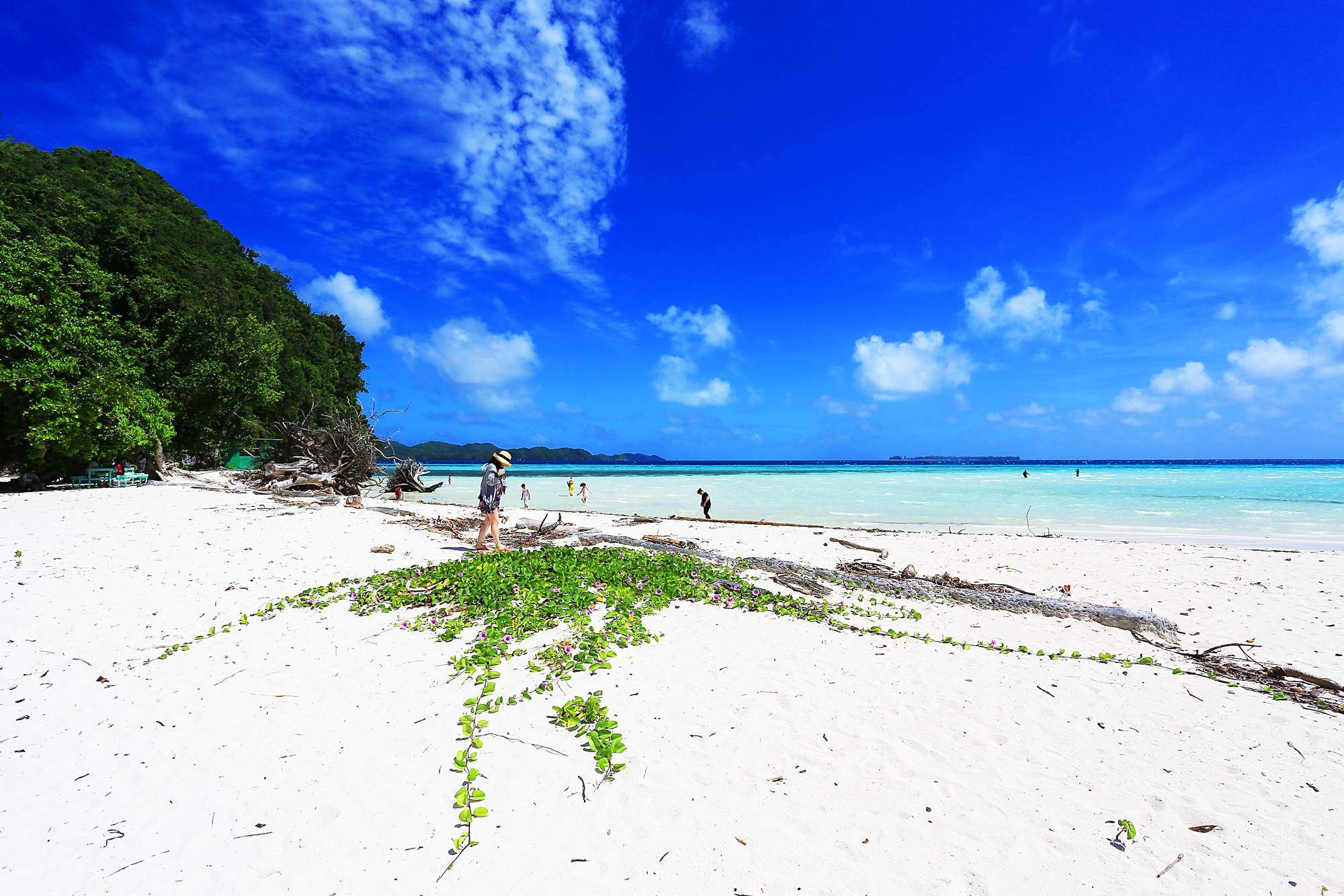 http://i.dcview.tw/gallery/201503/e9a81f588ce1ad947b4a15a81124e5b2.jpg