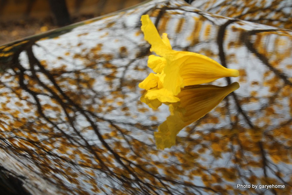 http://i.dcview.tw/gallery/201503/ed3f486bc5832623ce791bd56f67d903.jpg