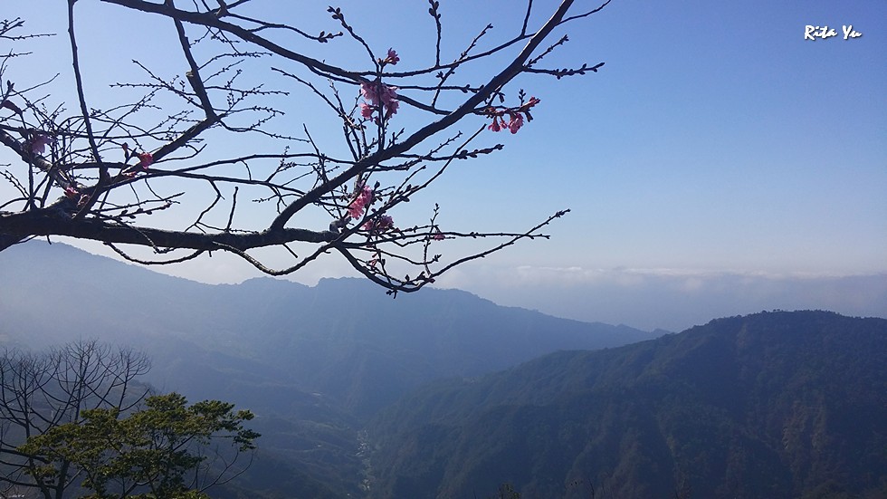 http://i.dcview.tw/gallery/201503/eed2f4b1d536309cf37bdf7405d44411.jpg