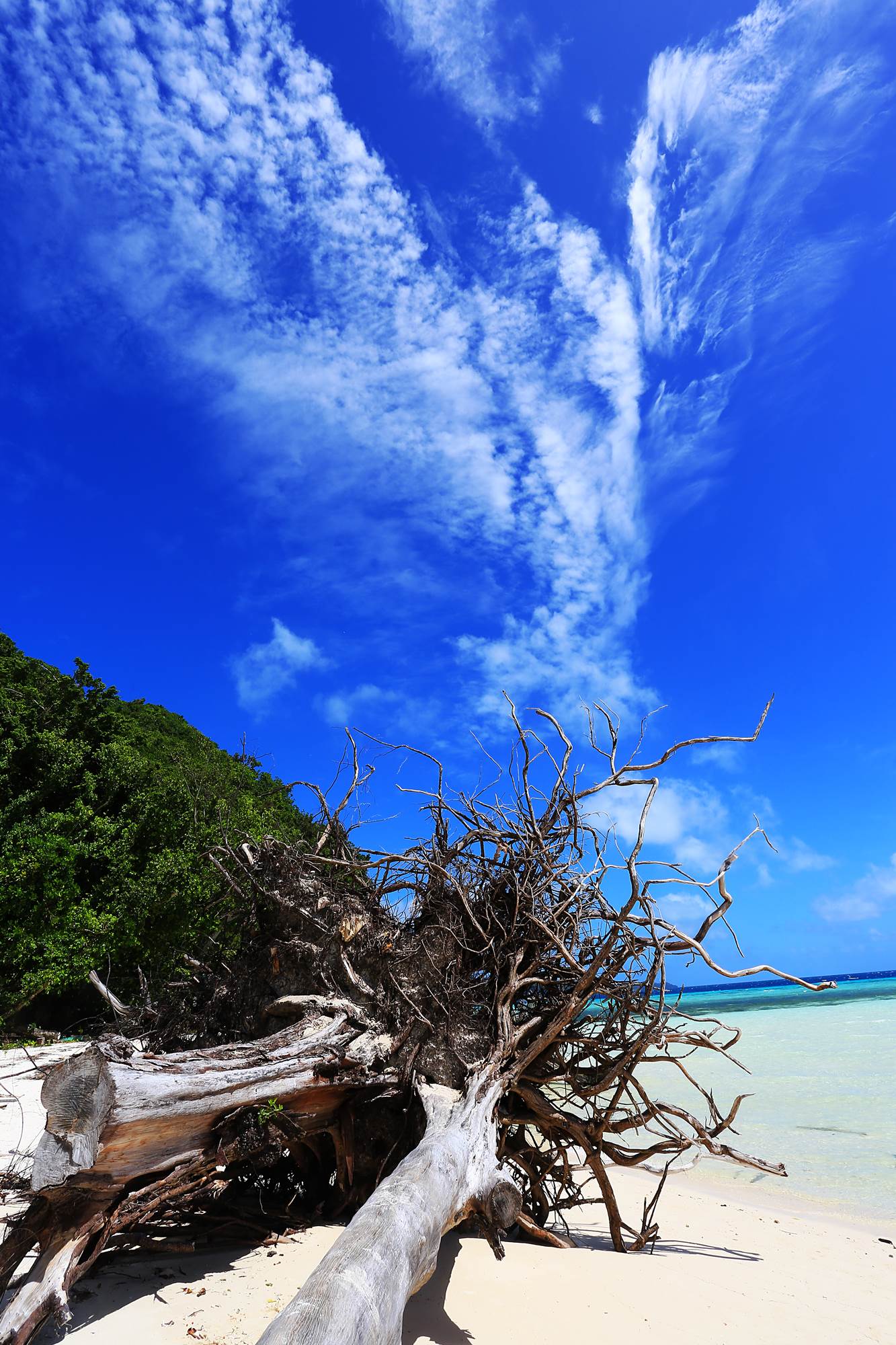 http://i.dcview.tw/gallery/201503/fd09bb4042073105abf13019f7693ee1.jpg