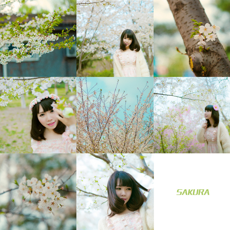http://i.dcview.tw/gallery/201504/1109eedb06923852bd5a227d4ce446c6.jpg