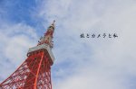 旅とカメラと私 - 東京
