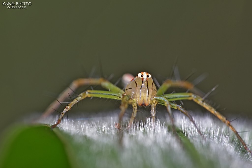 http://i.dcview.tw/gallery/201504/b1a4d8314c034709c7ca4cccfb39b867.jpg