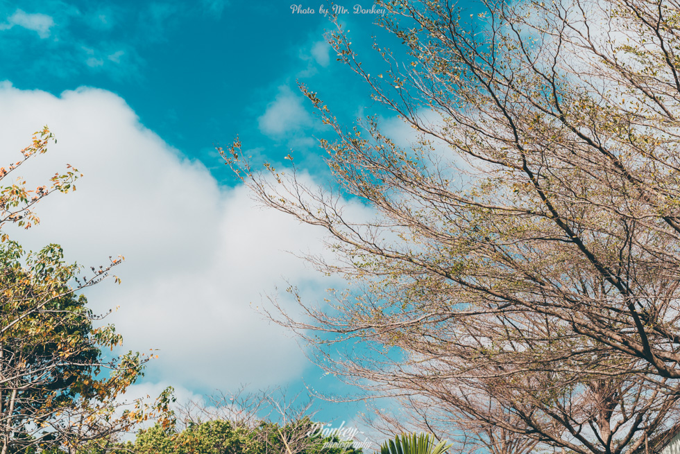 http://i.dcview.tw/gallery/201504/b68332130351f5c1a3d6c08a17084cc1.jpg