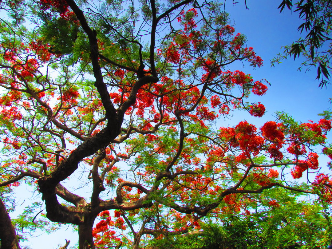 http://i.dcview.tw/gallery/201505/8717a6034c3b29acdaf6848945b634aa.jpg