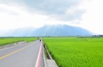 稻田-in池上