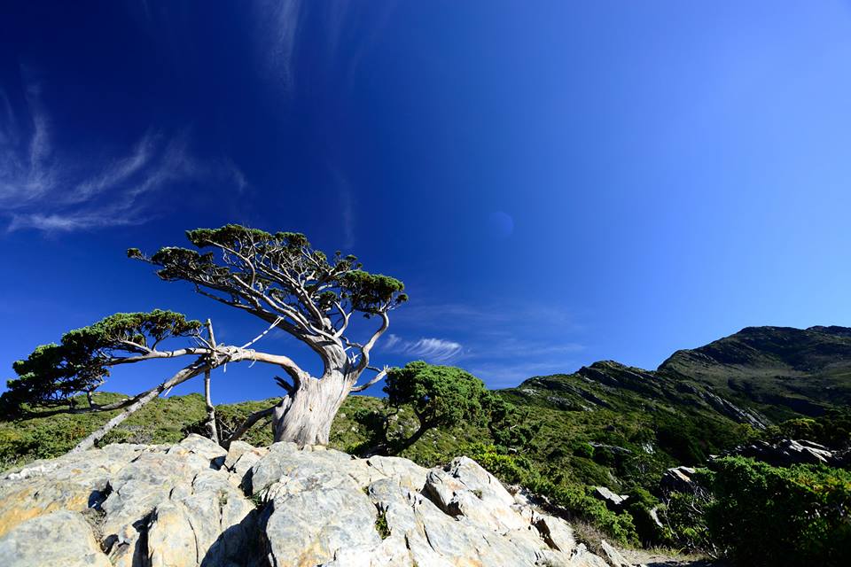 http://i.dcview.tw/gallery/201506/048a3cdec9d91b2d6b0daff95e0df57c.jpg