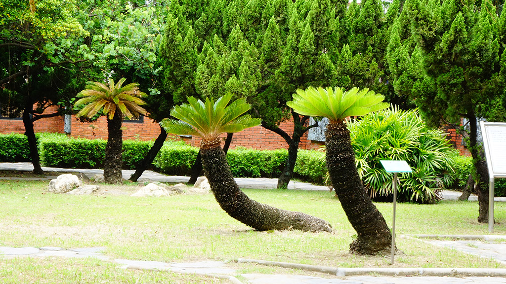 http://i.dcview.tw/gallery/201506/2498cf6121a4bf89e6b9f717184a2f5c.jpg