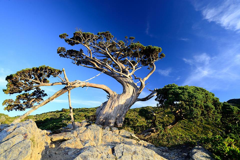 http://i.dcview.tw/gallery/201506/2bb545827603fb6e4fb08609e065364e.jpg