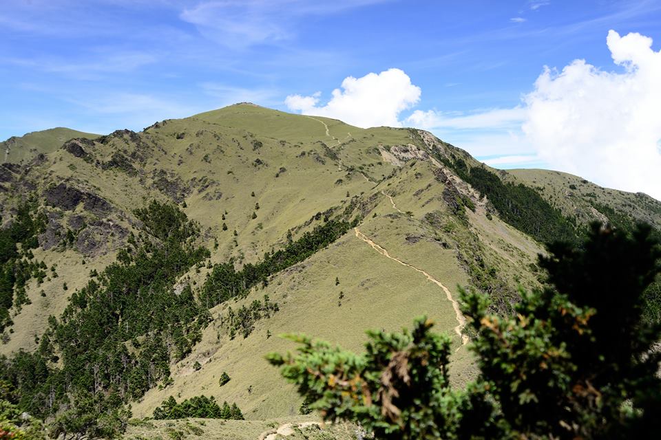http://i.dcview.tw/gallery/201506/406f07abe658ecc0d2913df37cbb92d9.jpg