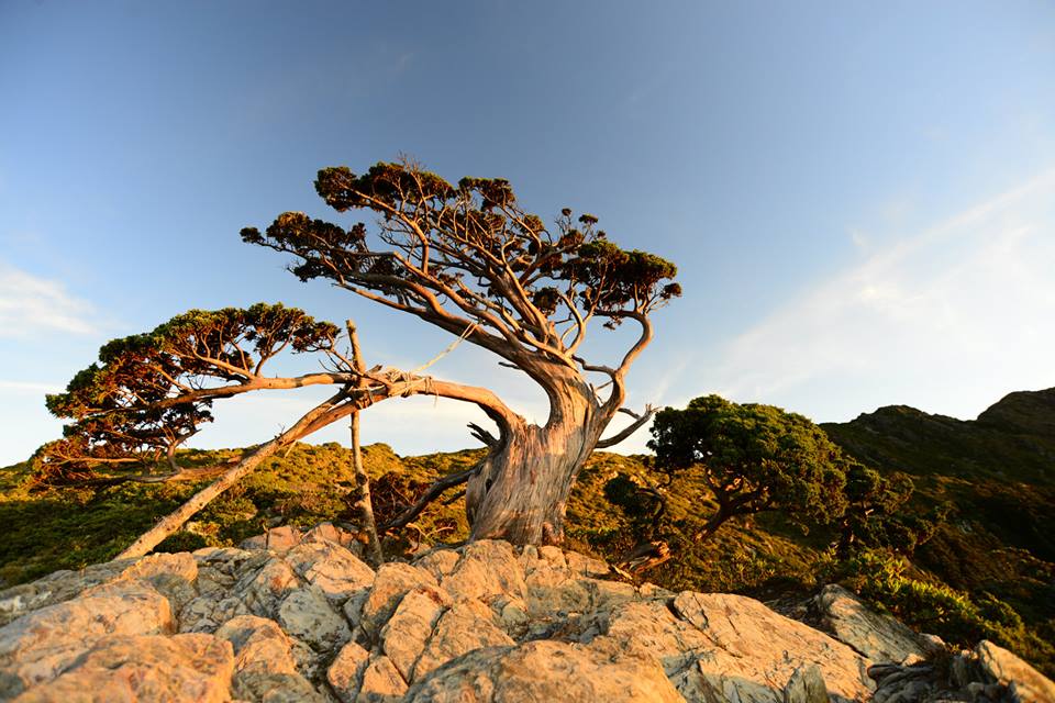 http://i.dcview.tw/gallery/201506/4abefe5d5e666a2fc06e4bbbd9c60155.jpg