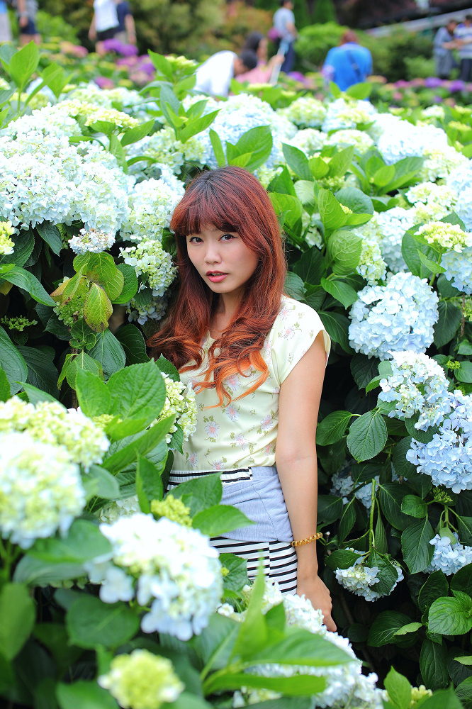http://i.dcview.tw/gallery/201506/62583de5c5fc373c5272abdd1e7c0575.jpg