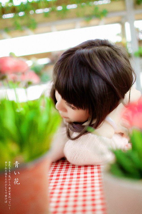 http://i.dcview.tw/gallery/201506/7acf119a973a875dfdb3b52e3bc5a710.jpg