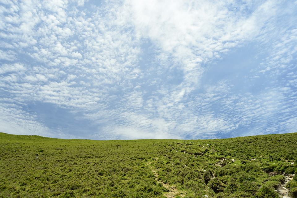 http://i.dcview.tw/gallery/201506/8830181a4d837735931732dd9d11e4c6.jpg