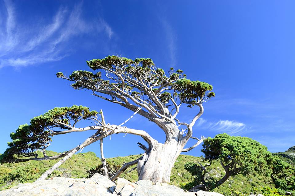http://i.dcview.tw/gallery/201506/a97fe1853f420fc8dd9ce724370e2cd1.jpg