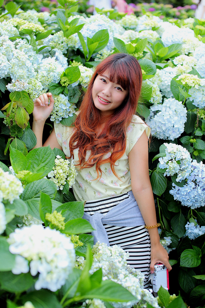 http://i.dcview.tw/gallery/201506/c24f028c5531a60ac23399f4175c8a96.jpg