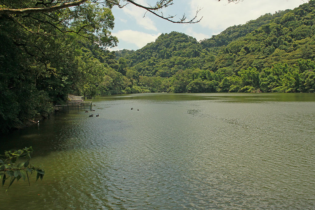 http://i.dcview.tw/gallery/201507/401f1046f9c75bacff214256950954d1.jpg