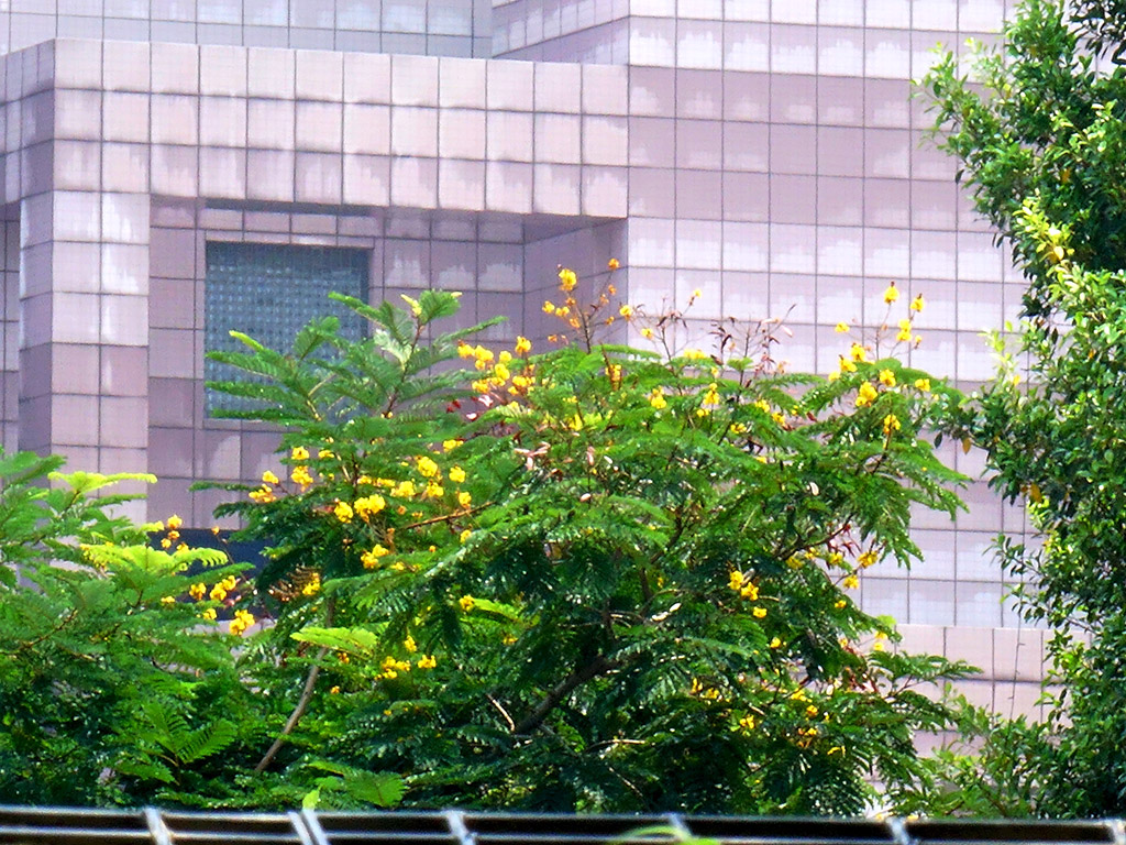 http://i.dcview.tw/gallery/201507/726e37dc4917e882718c7316a1027042.jpg