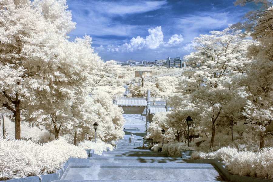 http://i.dcview.tw/gallery/201508/14fa822fc3bad1ac437e9b4391f89e3b.jpg