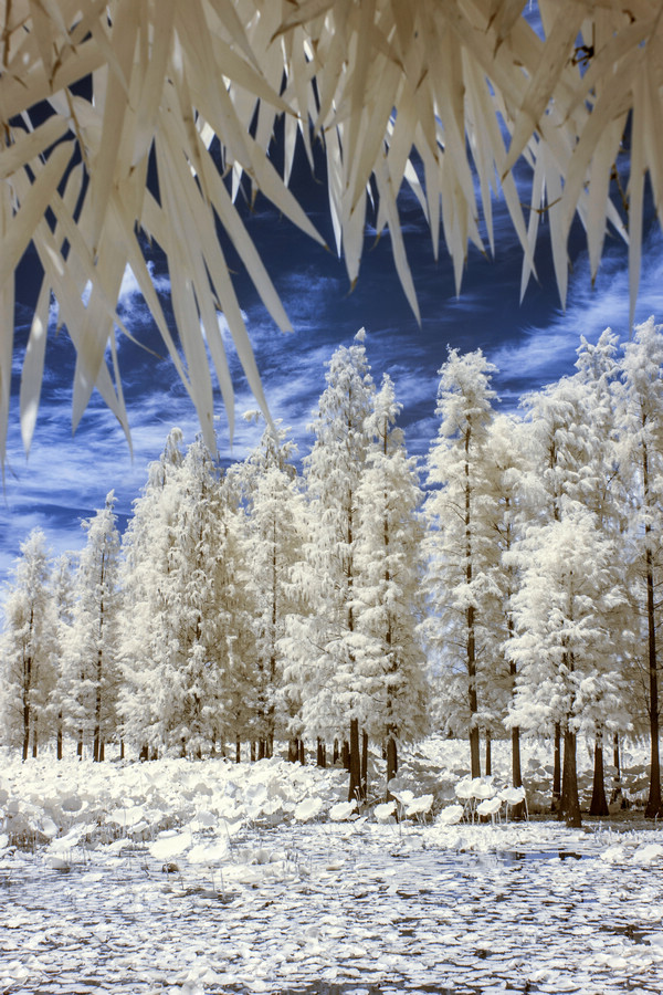 http://i.dcview.tw/gallery/201508/3d31e5caf5594415d280ba370c337ae6.jpg