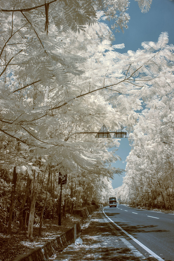 http://i.dcview.tw/gallery/201508/43fa662bc80f4f75c171e056a0b9eb51.jpg