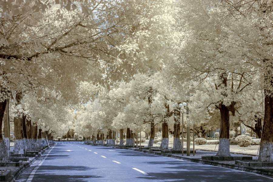 http://i.dcview.tw/gallery/201508/931d16cb93d4ed0386ab38bc2e7ddedf.jpg