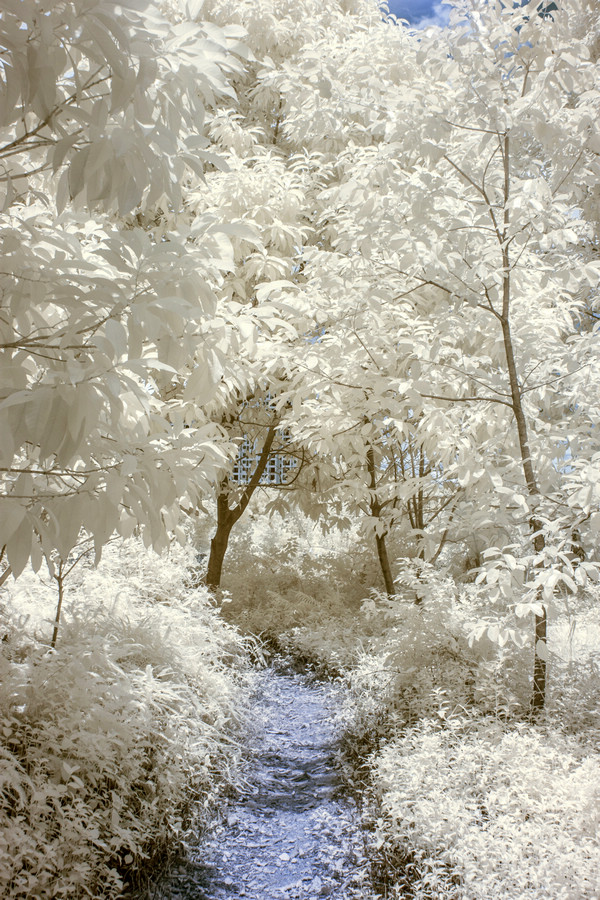 http://i.dcview.tw/gallery/201508/9513c6254c93c74fe32872ecb6dd6bd3.jpg