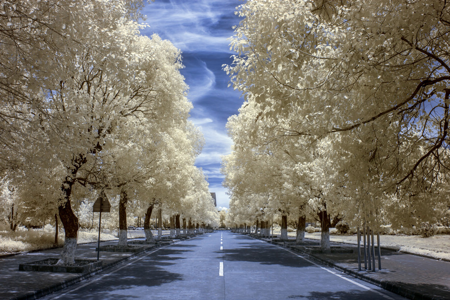 http://i.dcview.tw/gallery/201508/9e9d5bf2187a15a6f4445fd4278ba27a.jpg