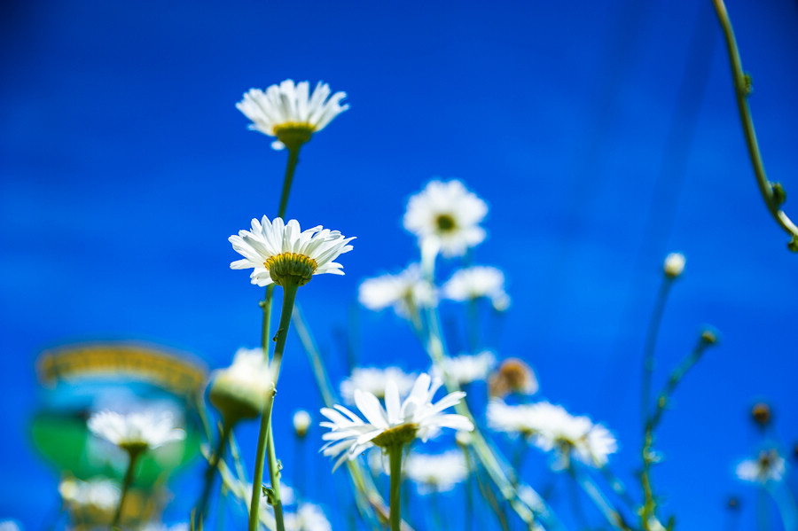 http://i.dcview.tw/gallery/201508/b20791c019615a0992c06b819eaa4b2f.jpg