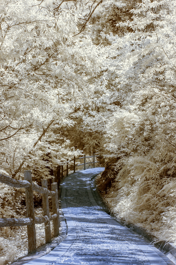 http://i.dcview.tw/gallery/201508/c891e7a4b7b93a67a757c3ba3a9c7be9.jpg