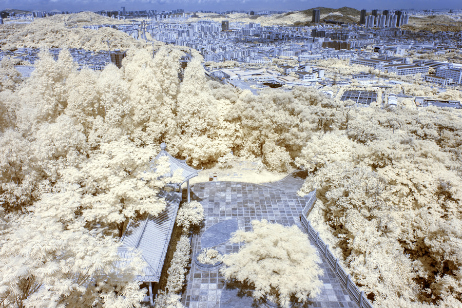 http://i.dcview.tw/gallery/201508/cc4ef8aef0f9667d5bb26e60ea2793b7.jpg