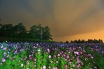福壽山夜色