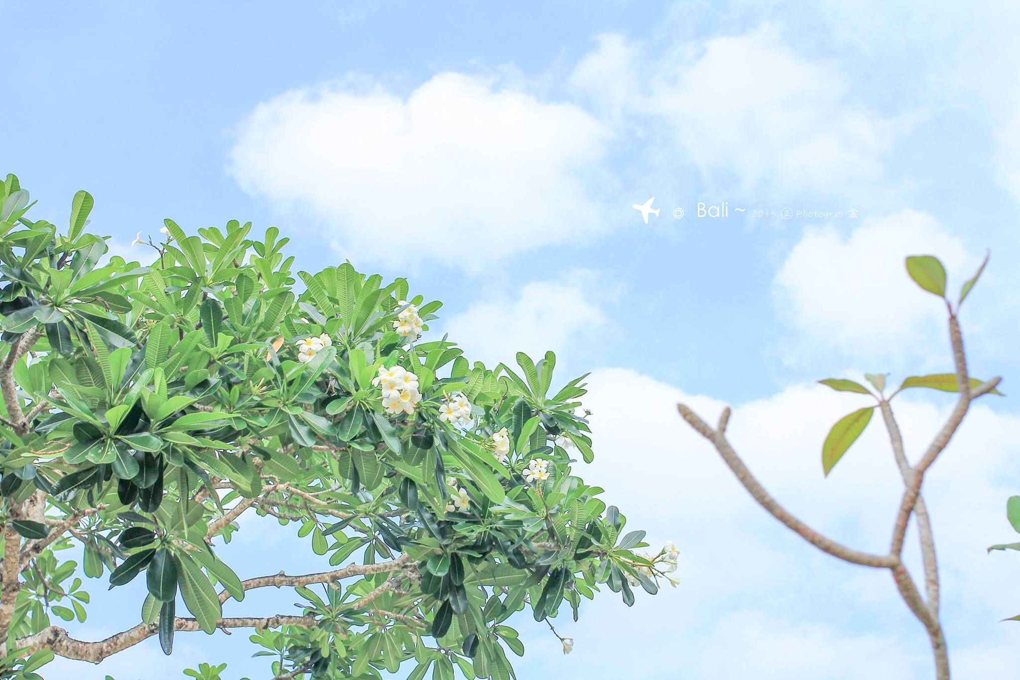 http://i.dcview.tw/gallery/201510/41372282b117b1996393d124a9612013.jpg