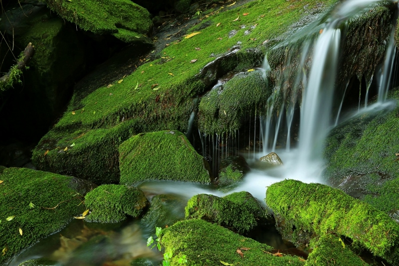 http://i.dcview.tw/gallery/201510/c338cde66c4c0b16aadec01fdd91ac40.jpg