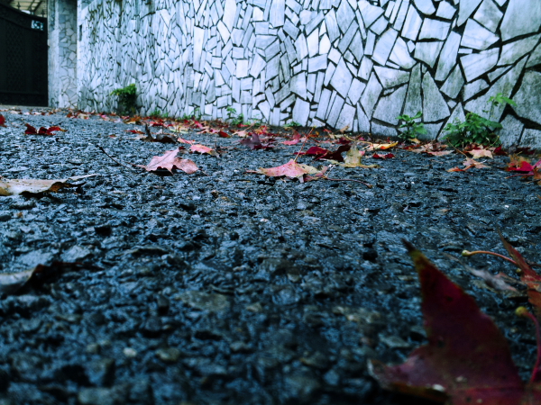 http://i.dcview.tw/gallery/201511/93c69687647f46e4b315f2e6282967f9.jpg