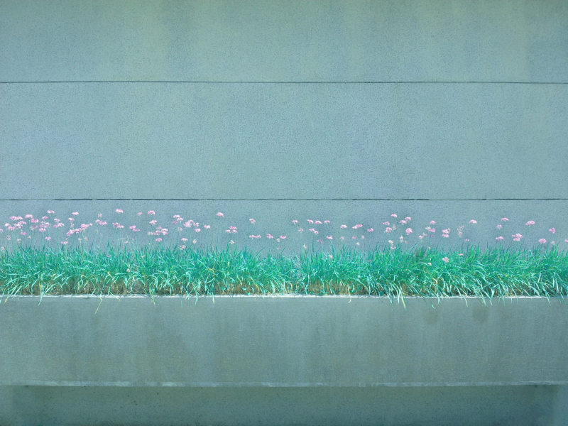 http://i.dcview.tw/gallery/201511/ad1dc7ffa4f96499cf907286fdf139bd.jpg