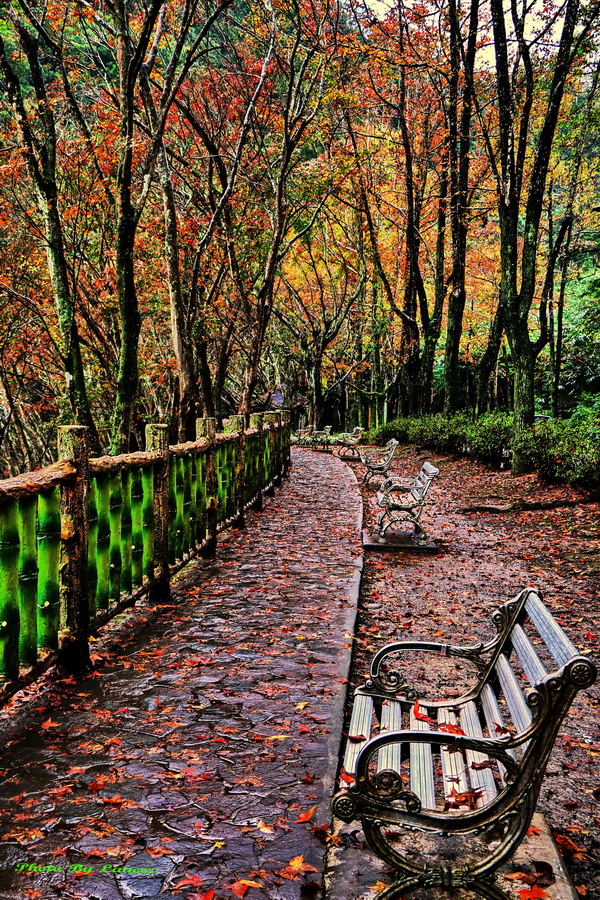 http://i.dcview.tw/gallery/201512/24967efd52fc130f689a5ac5f1032e27.jpg