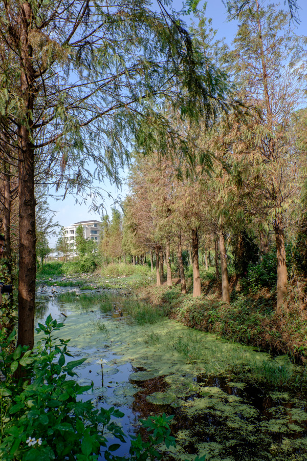 http://i.dcview.tw/gallery/201512/3d283af9f5edff291c400210a8827fea.jpg