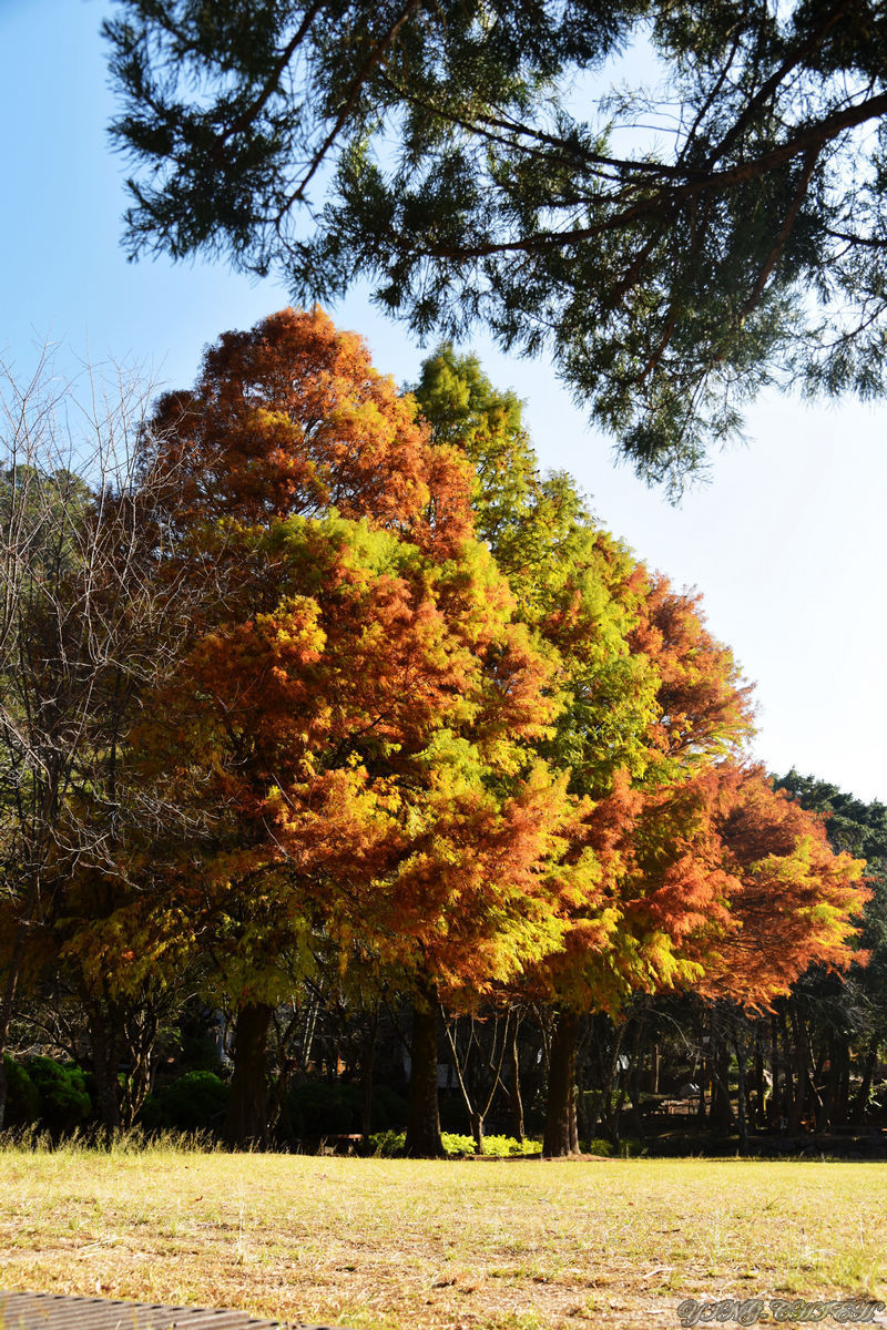 http://i.dcview.tw/gallery/201512/578d1c0a6298696103802e5c71c92834.jpg