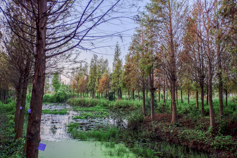 http://i.dcview.tw/gallery/201512/7db6c7793247c0169159353ae4253429.jpg